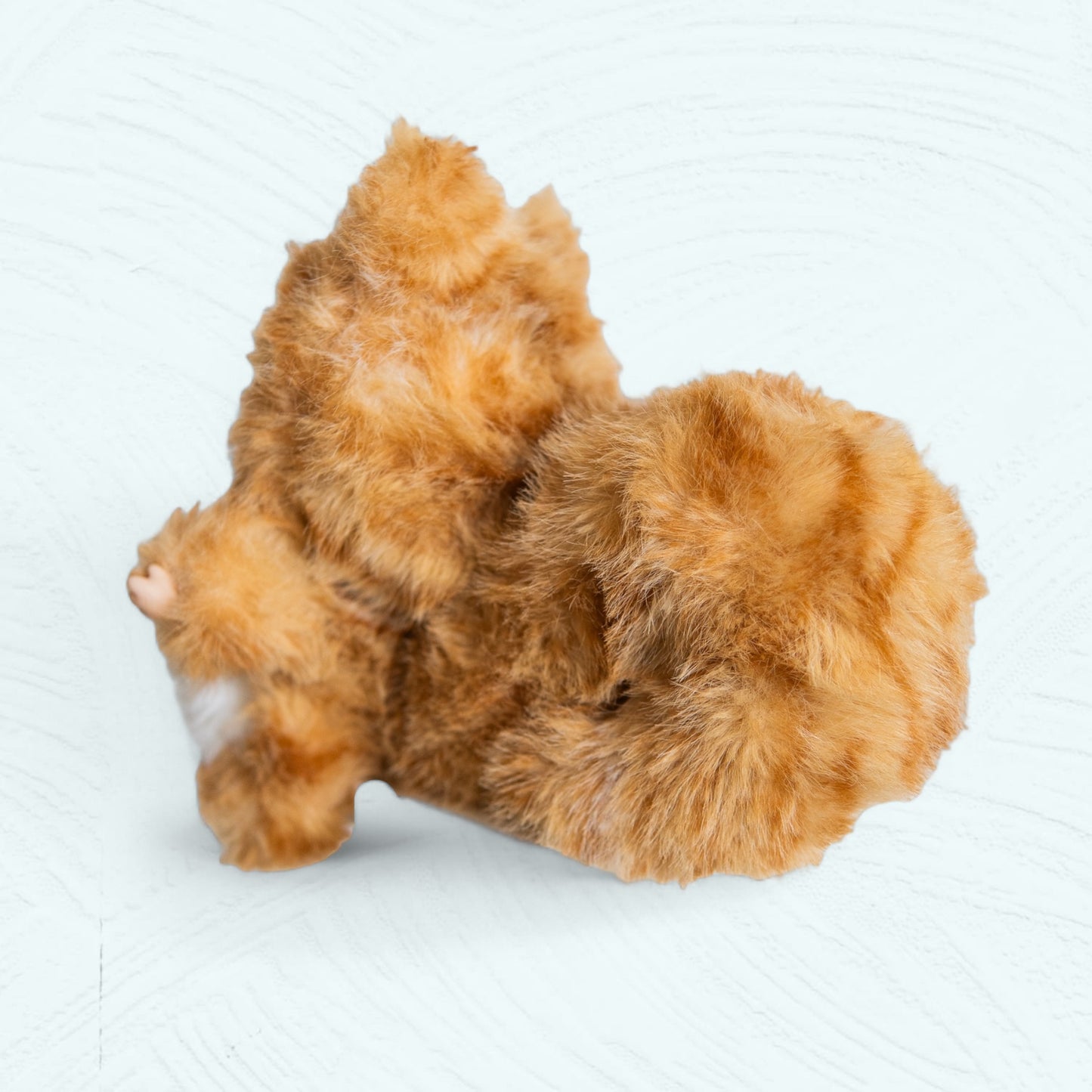 Vue de dessous montrant les détails des pattes et du costume.